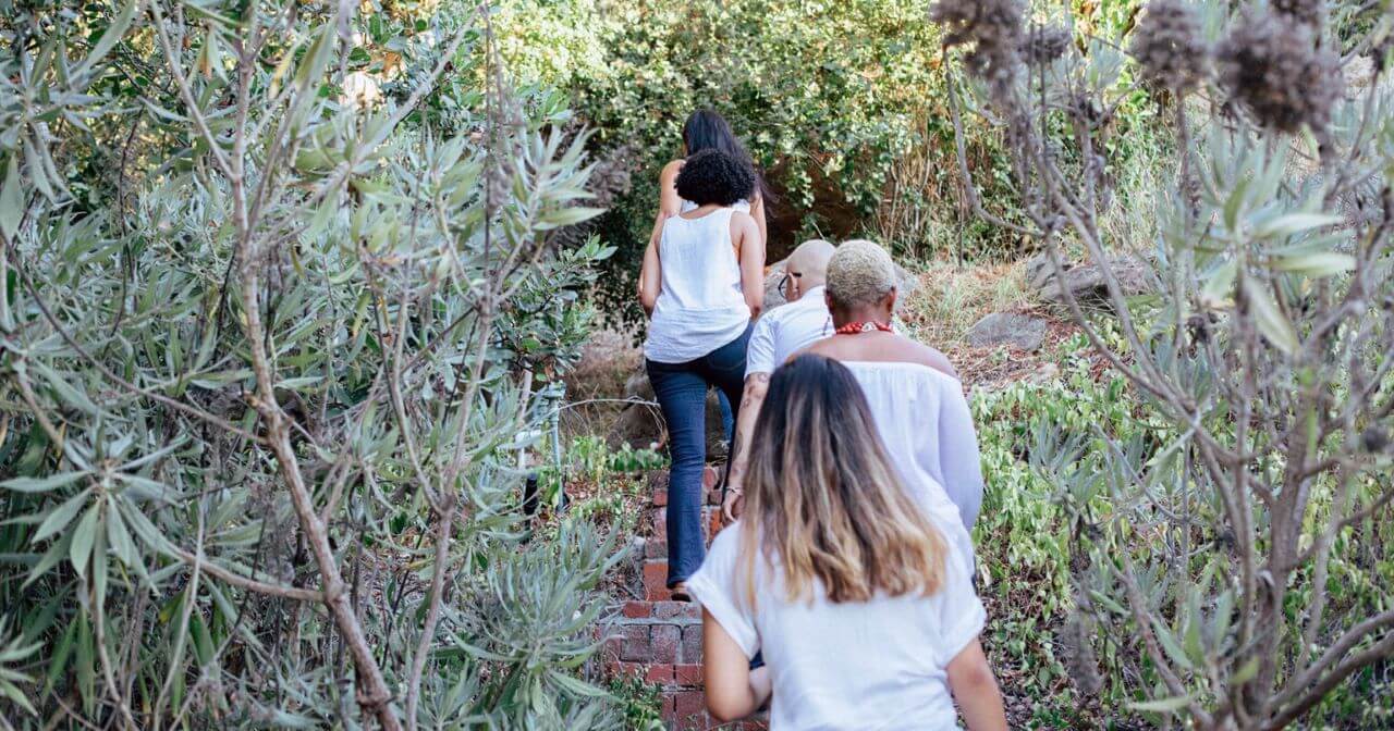 A group of people walking single file up a brick path surrounded by lush greenery.